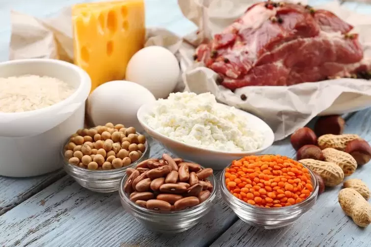 proizvodi za proteinsku prehranu
